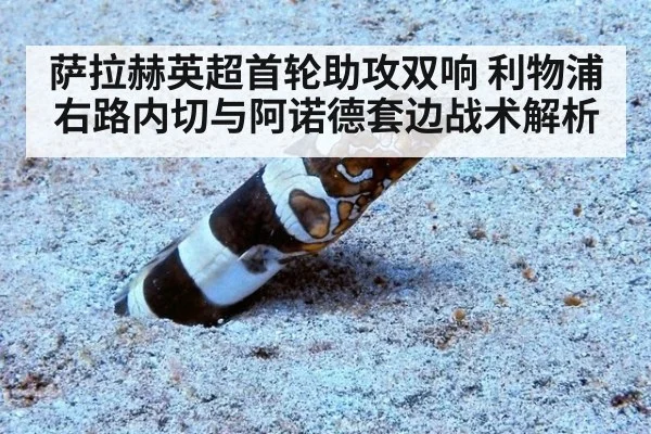 萨拉赫英超首轮助攻双响 利物浦右路内切与阿诺德套边战术解析